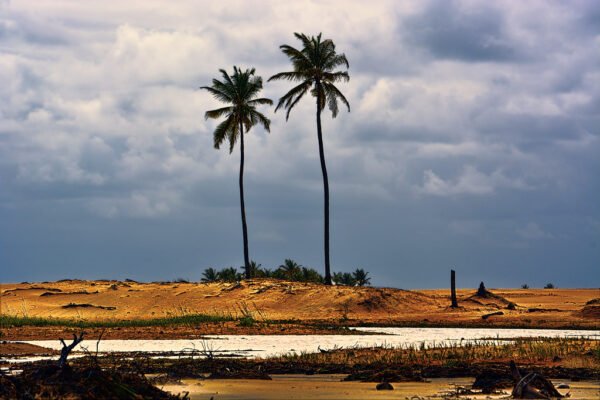 10 Passeios Em Alagoas Para Aproveitar A Terra Dos Marechais