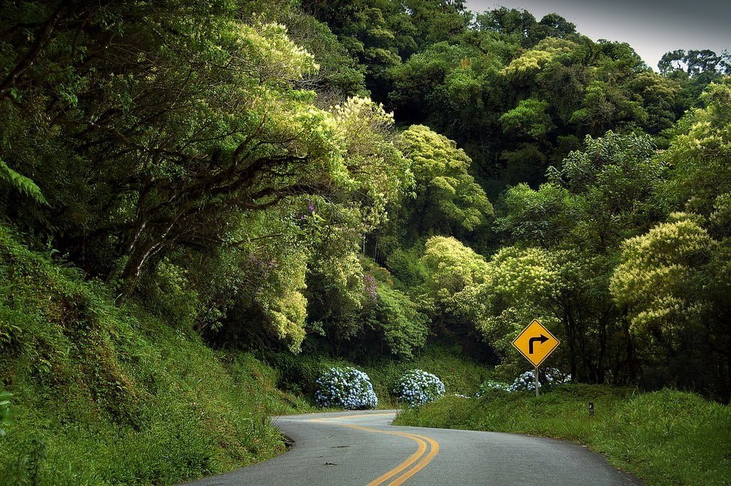 BR 495 Estrada das Hortênsias: Rio de Janeiro﻿ - Roteiros de Carro pelo Brasil