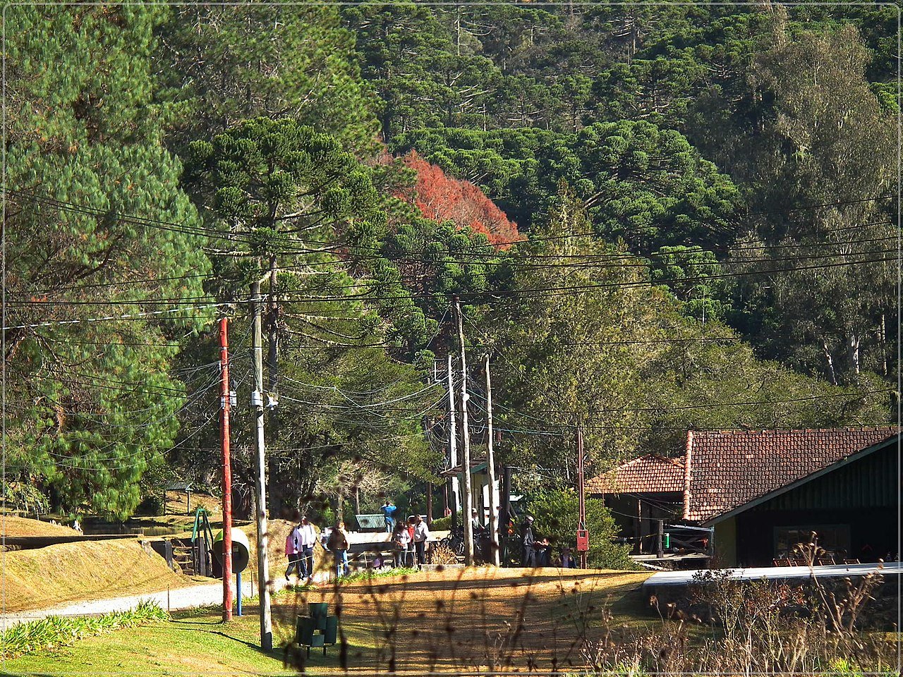 Parque Estadual de Campos do Jordão | ILoveTrip