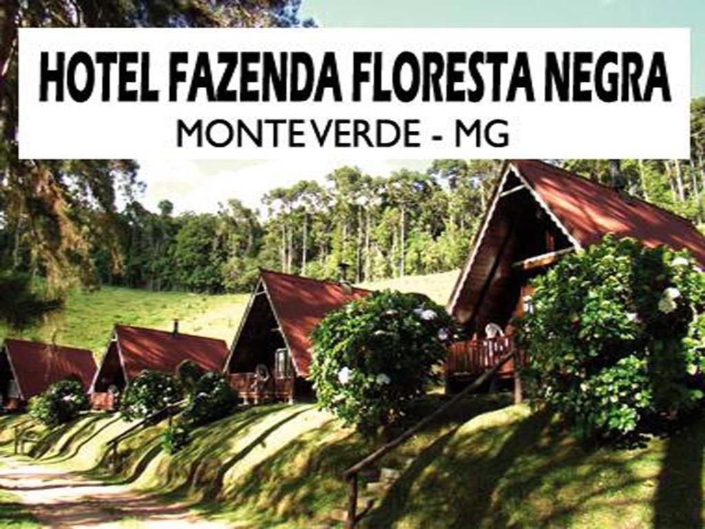 Hoteis em Monte Verde para ficar - Hotel fazenda floresta negra