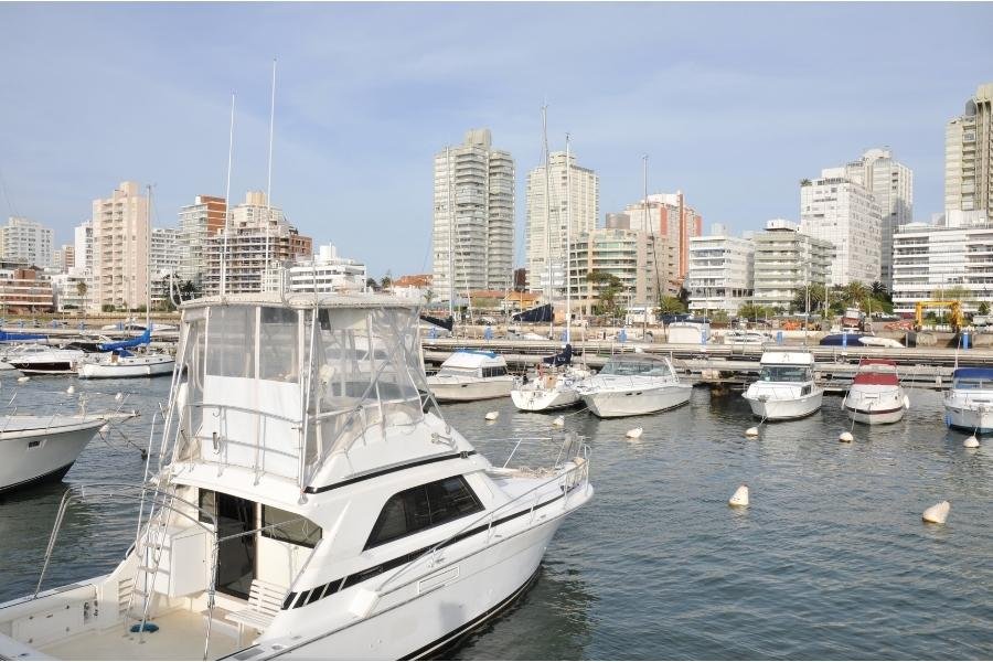 Porto de Punta del Este passeios em punta del este