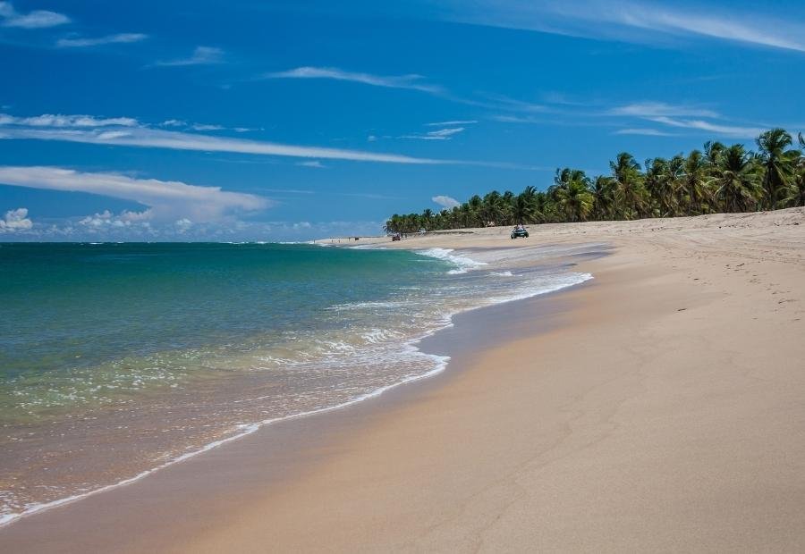Praia do Gunga Os 20 Melhores Passeios em Maceió para sua viagem
