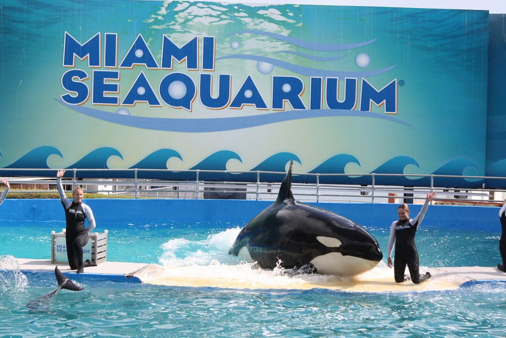 Sea_Aquarium_Miami_Pontos_Turisticos