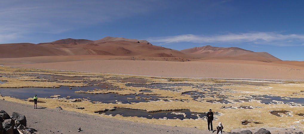 Chile Salar Tara lagoas