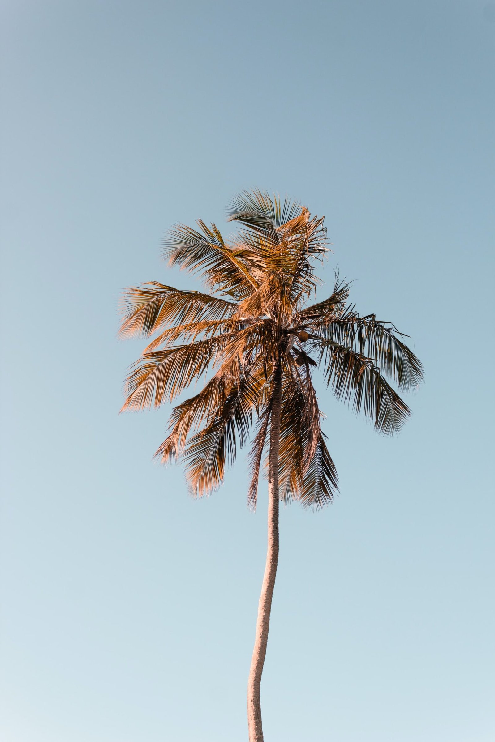 helena nunes santana XtLeBDDHicA unsplash scaled Top 14 Melhores Passeios em Aracaju para curtir