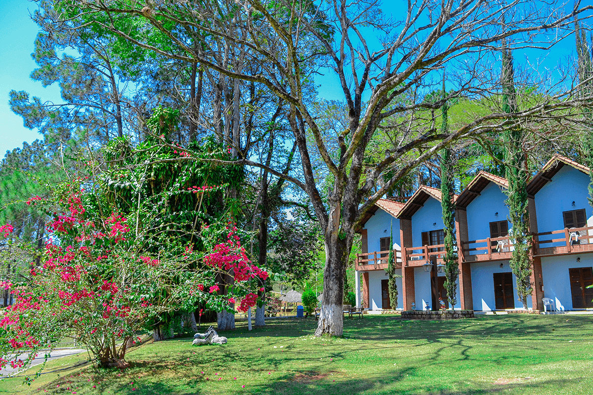 hoteis fazenda proximos a sp que aceitam animais