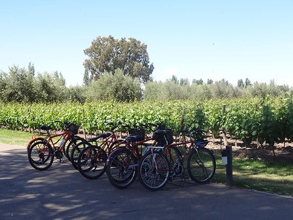 Bicicletas na região de vinícolas de Maipú - Mendoza