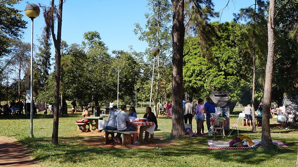 parque da cidade brasília picnic