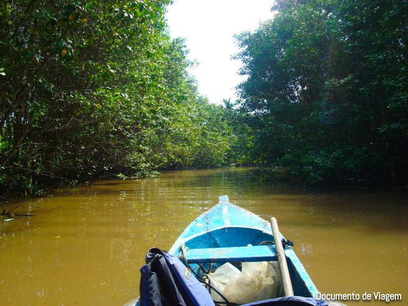passeio de canoa itacare documento de viagem edited Os 7 Melhores Passeios em Itacaré para aproveitar a viagem