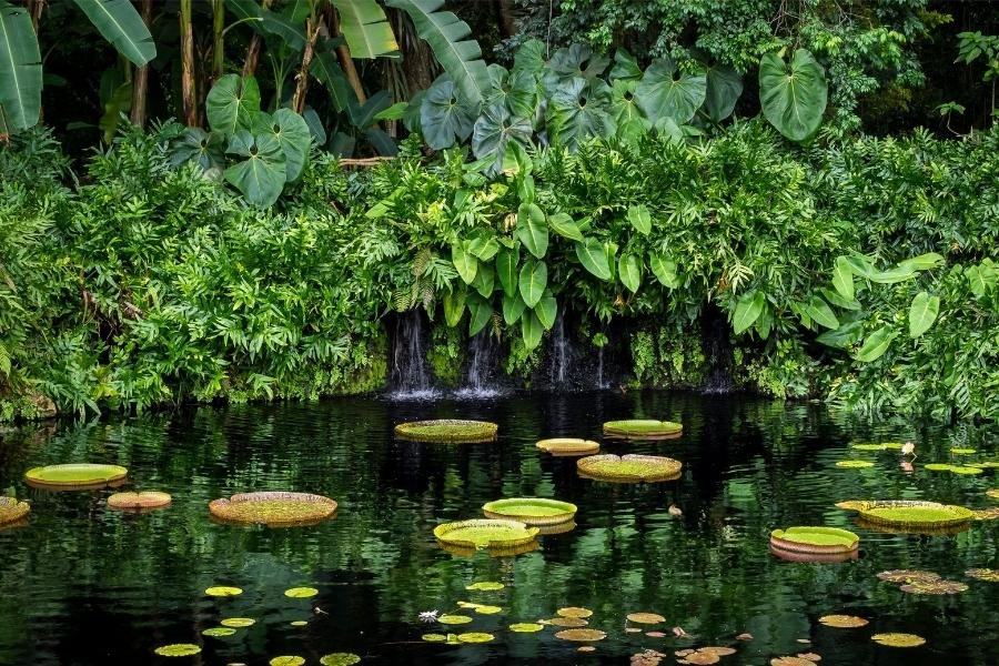 passeios em miami Fairchild Tropical Botanic Garden