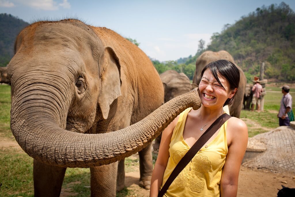 roteiro tailândia elephant park Roteiro na Tailândia: Guia Completo para montar sua Viagem