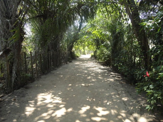 Trilha para as Praias de Trancoso, Porto Seguro