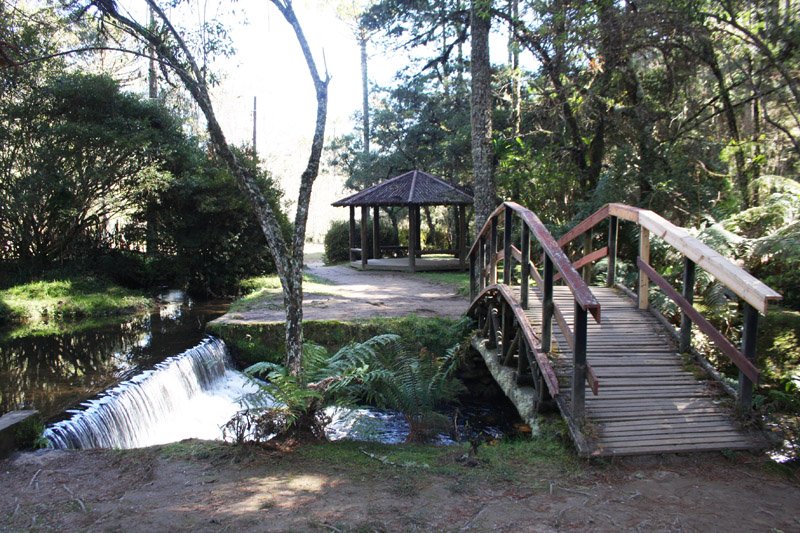 Uma das ponte do Parque Estatual do Campos do Jordão | ILoveTrip